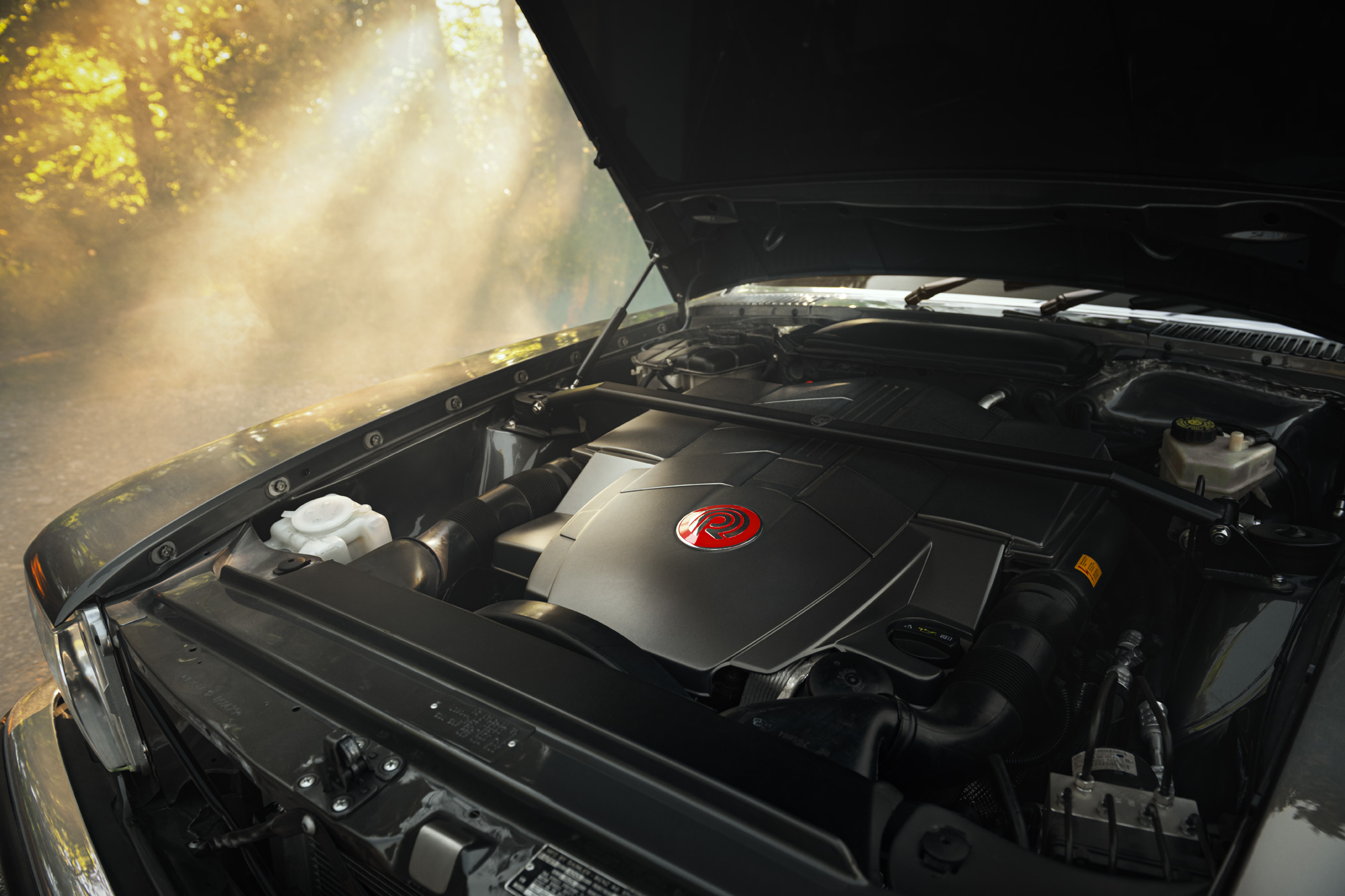 new detail image
